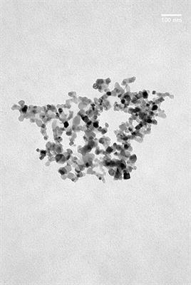 Monitoring the Phenolic Ripening of Red Grapes Using a Multisensor System Based on Metal-Oxide Nanoparticles